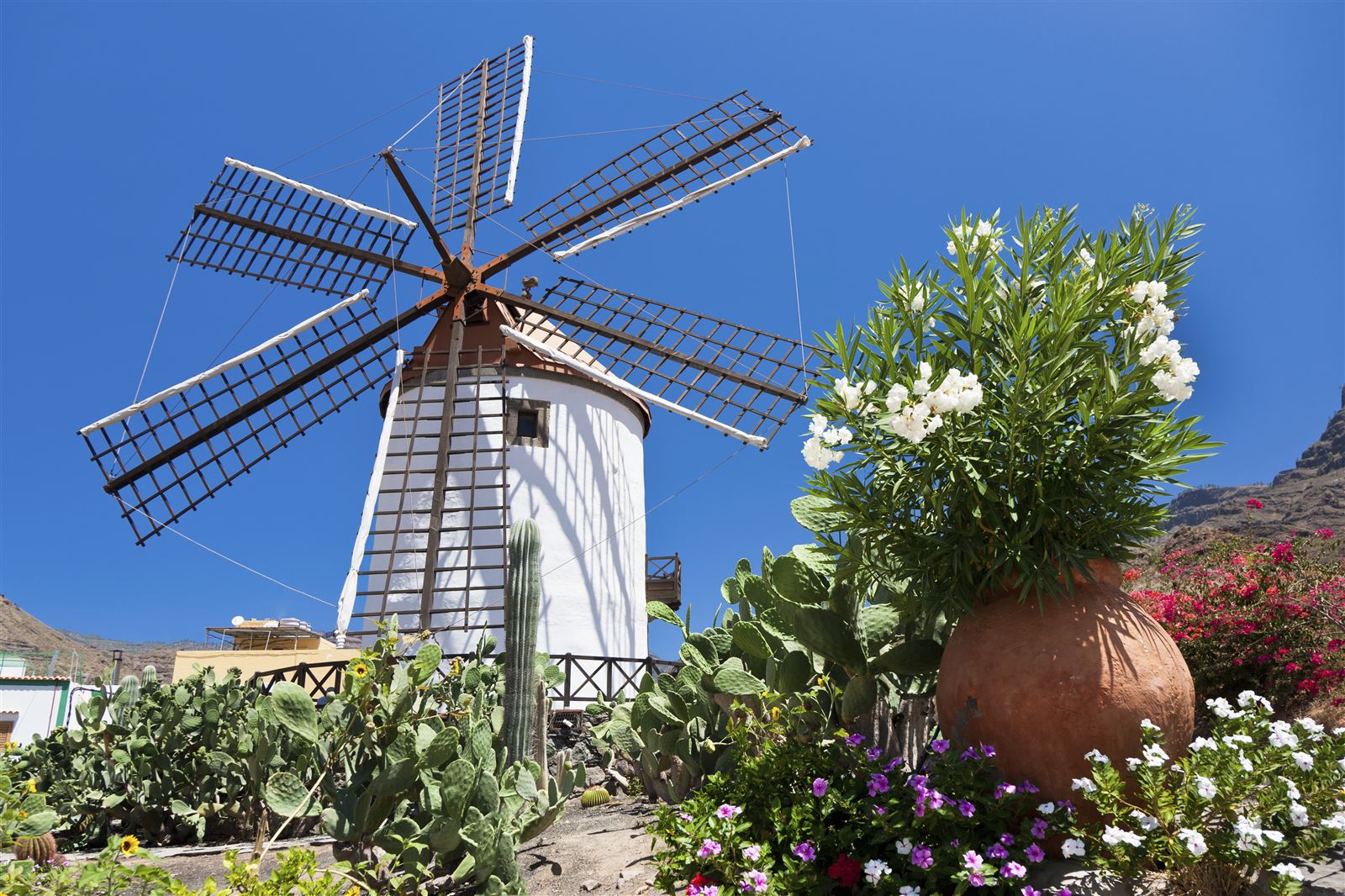 Gran Canaria Impression Windmühle